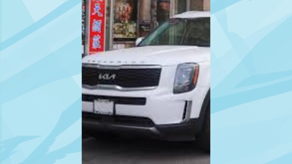 Kia Telluride Height